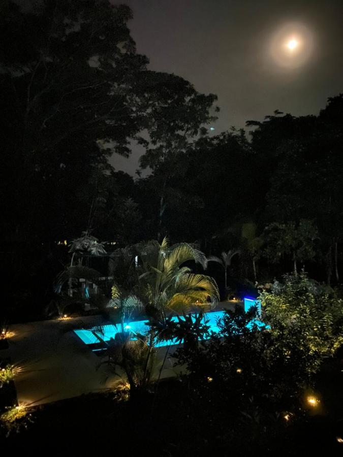 La Amapola Lodge, Bungalow En Peninsula De Osa. Barrigones Exterior photo