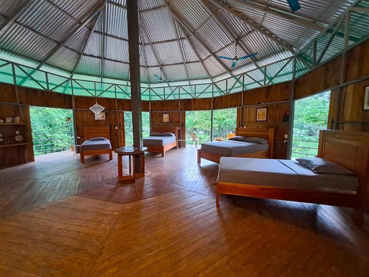 La Amapola Lodge, Bungalow En Peninsula De Osa. Barrigones Exterior photo